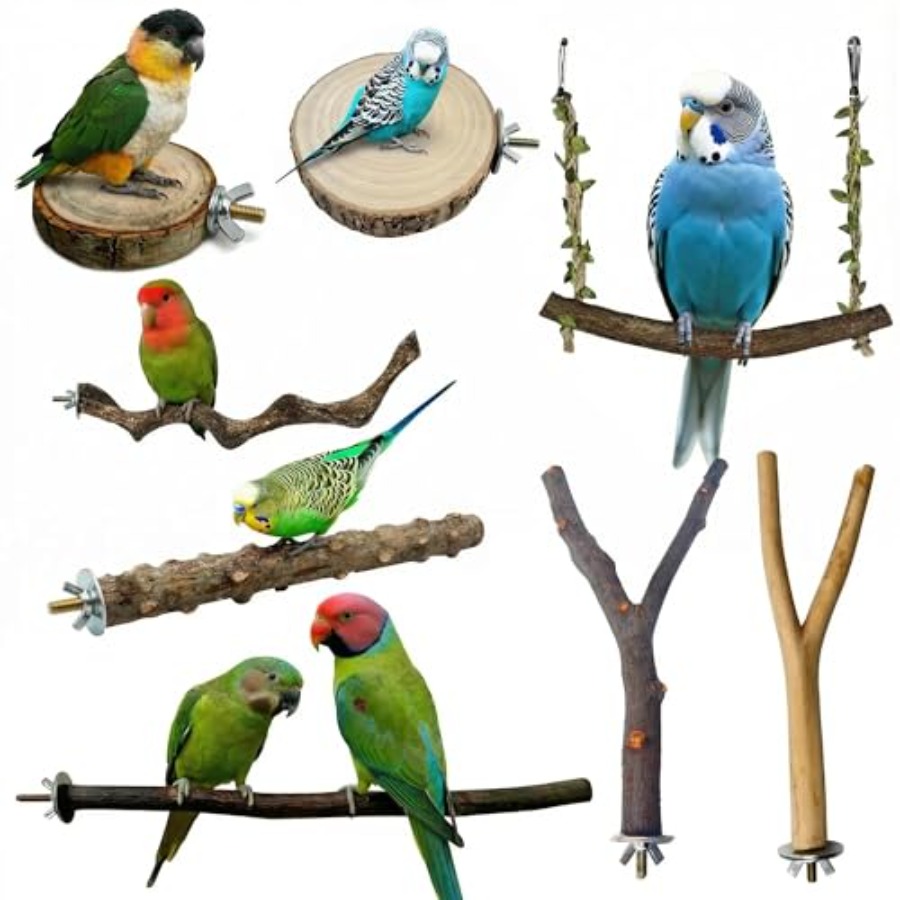 8PCS natural wood bird perches - Health & Wellness Expo 2025 review and price