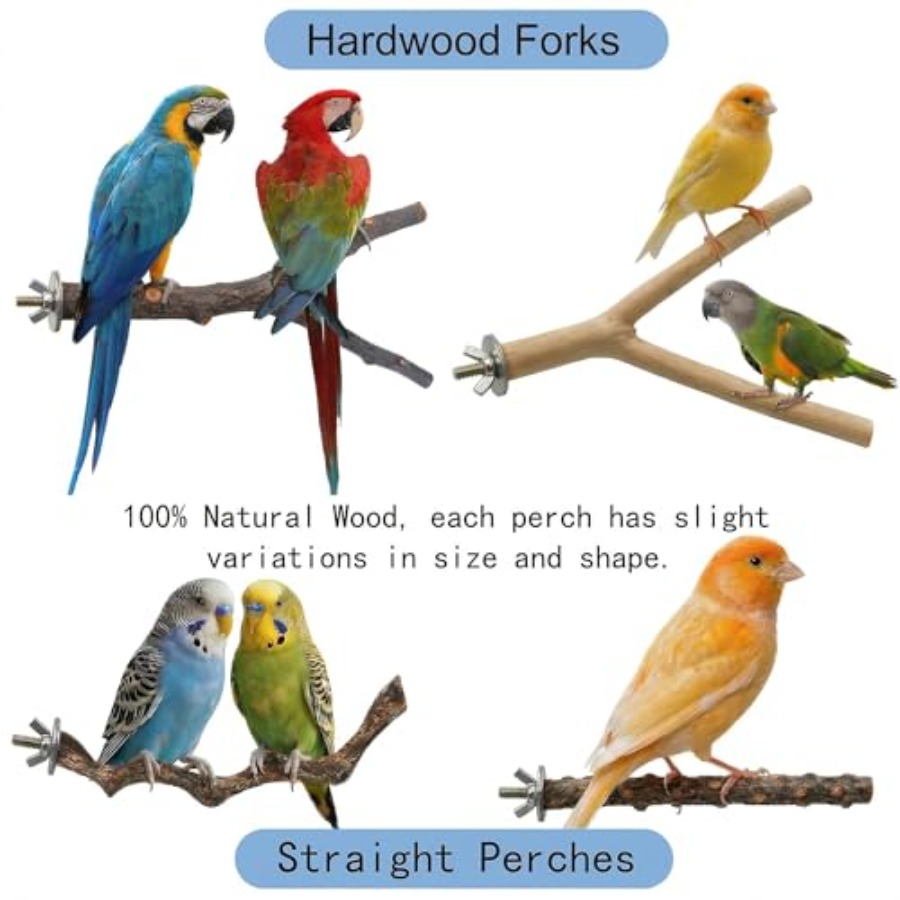 8PCS natural wood bird perches - Health & Wellness Expo 2025 review and price